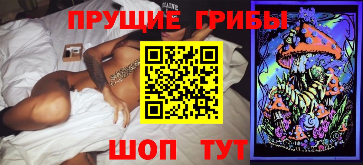 Светлоград  Псилоцибиновые грибы прущие грибы  Галлюциногенные грибы прущие грибы  Вход с VPN 
